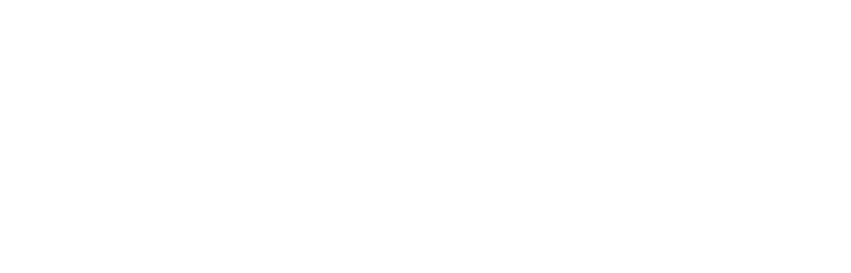 Your Immigration Attorney
