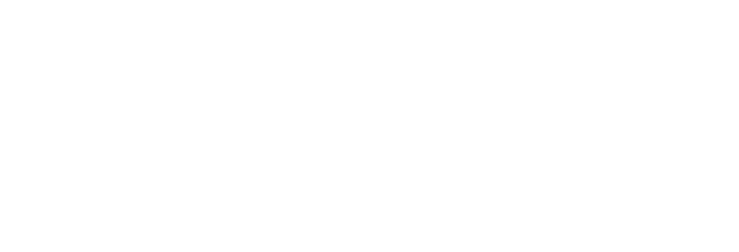 Your Immigration Attorney